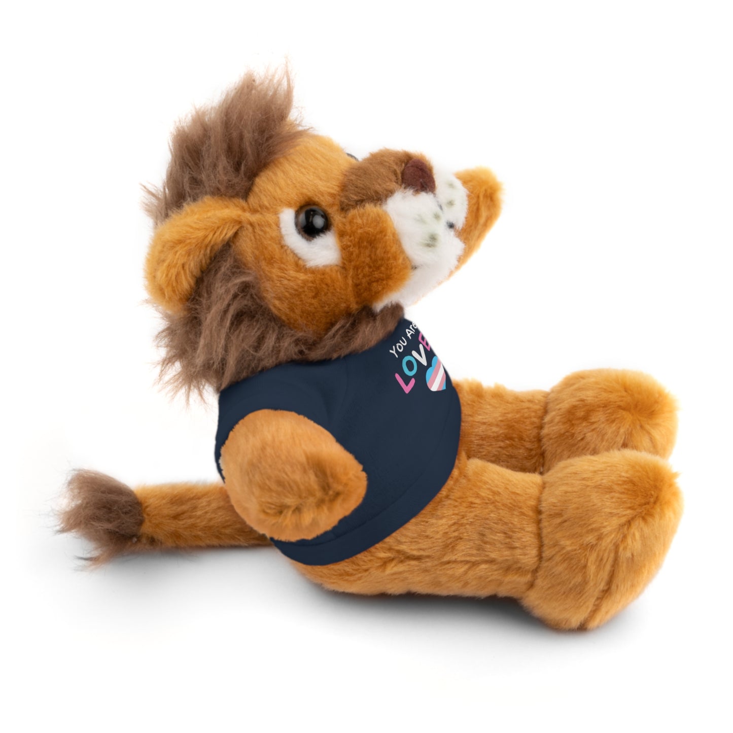 You Are Loved Transgender Stuffed Animals with Tee