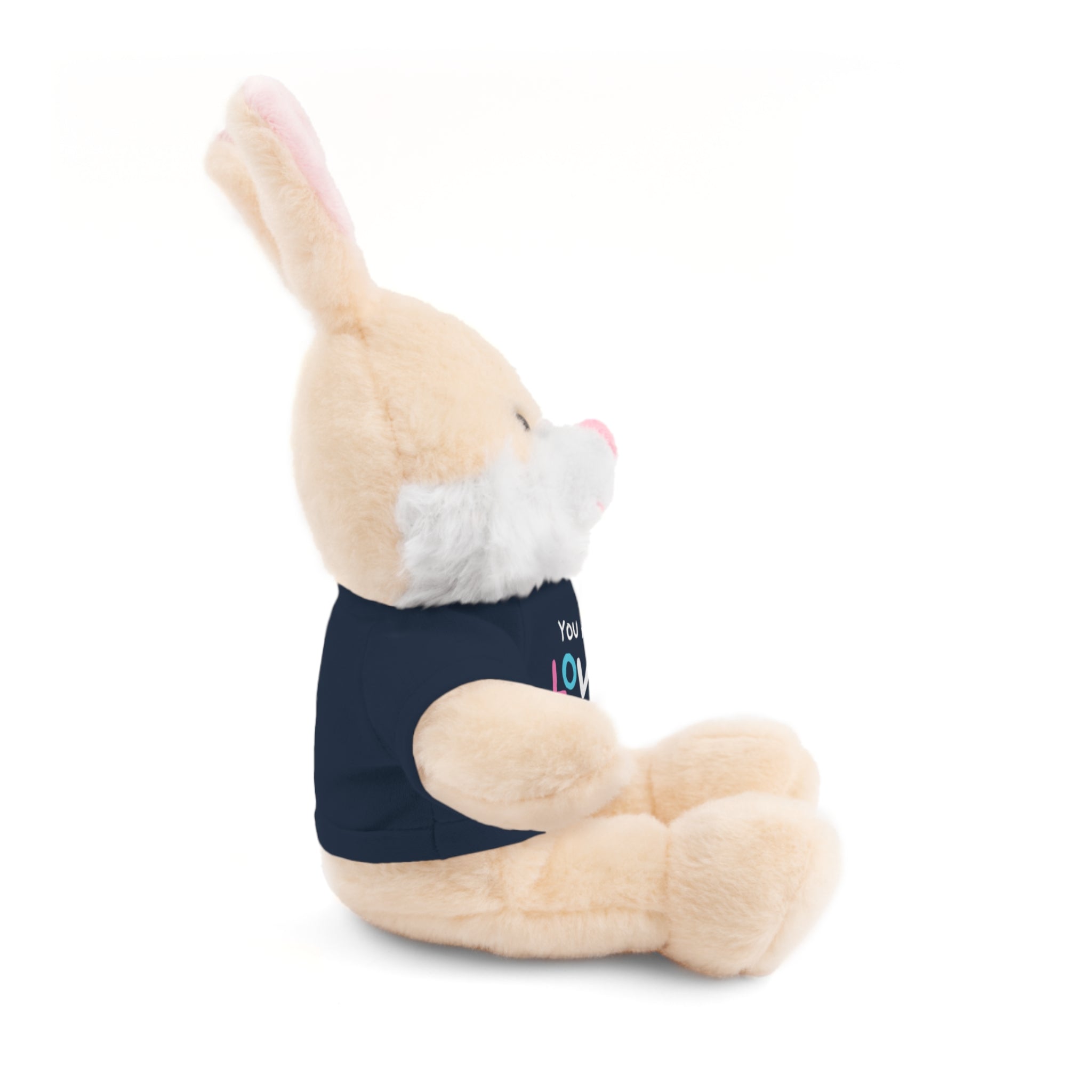 You Are Loved Transgender Stuffed Animals with Tee